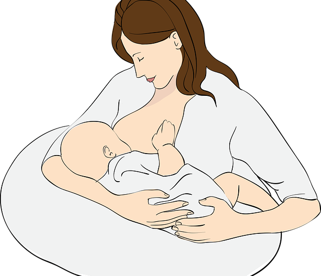 Image of lactating mother by gdakaska from Pixabay
